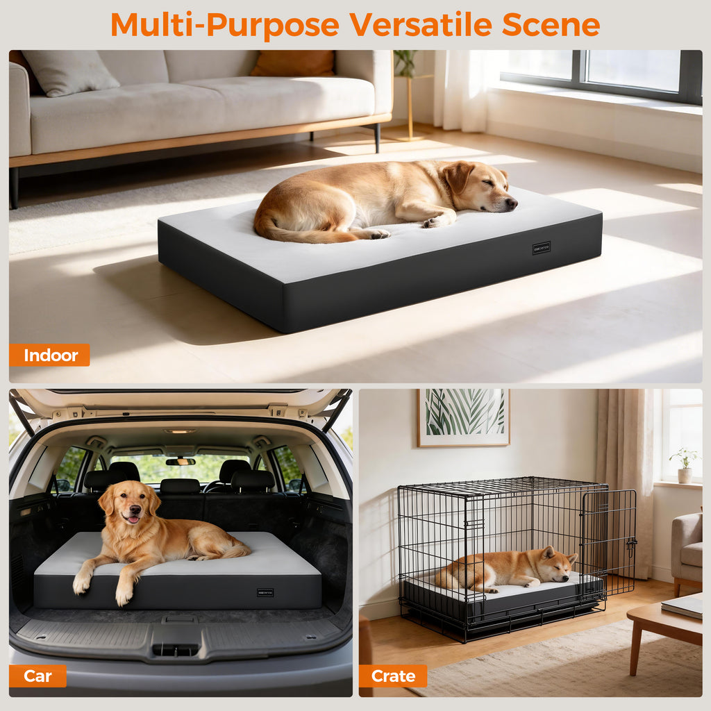 5 Inch Thick Orthopedic Dog Bed for Medium & Large Dogs, High Density Egg Crate Memory Foam with Support Foam, Waterproof Liner & TPU, Removable Washable Cover, Nonskid Bottom
