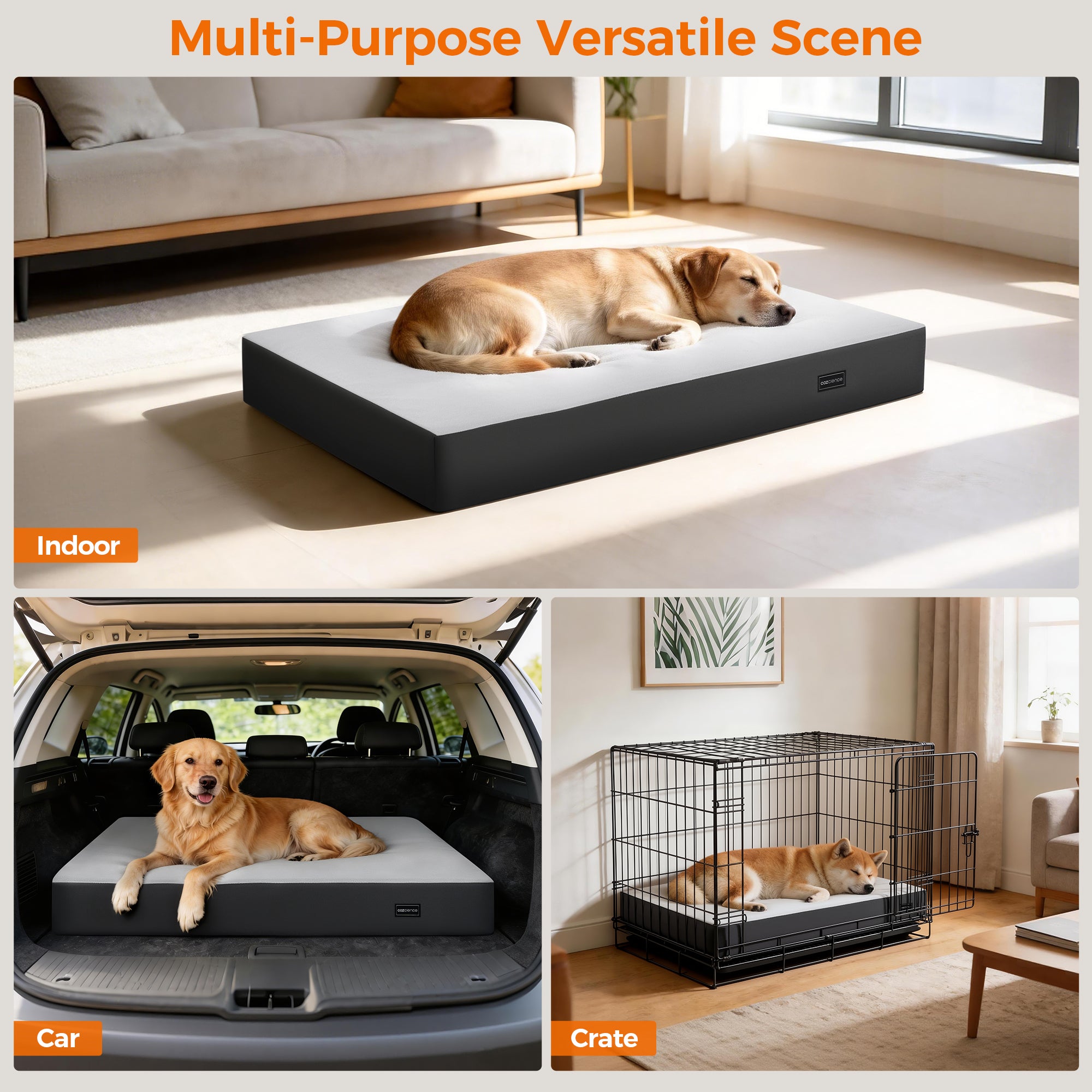 5 Inch Thick Orthopedic Dog Bed for Medium & Large Dogs, High Density Egg Crate Memory Foam with Support Foam, Waterproof Liner & TPU, Removable Washable Cover, Nonskid Bottom