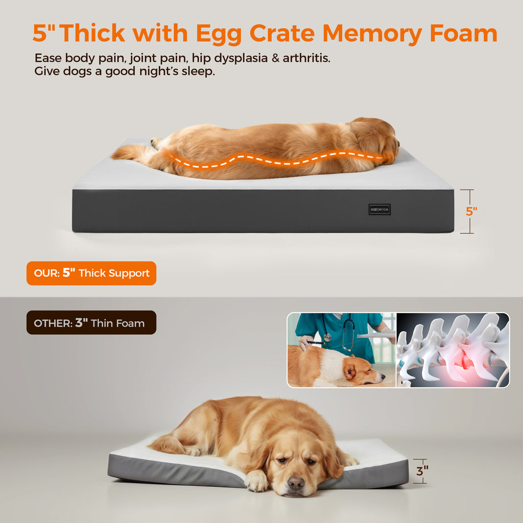 5 Inch Thick Orthopedic Dog Bed for Medium & Large Dogs, High Density Egg Crate Memory Foam with Support Foam, Waterproof Liner & TPU, Removable Washable Cover, Nonskid Bottom