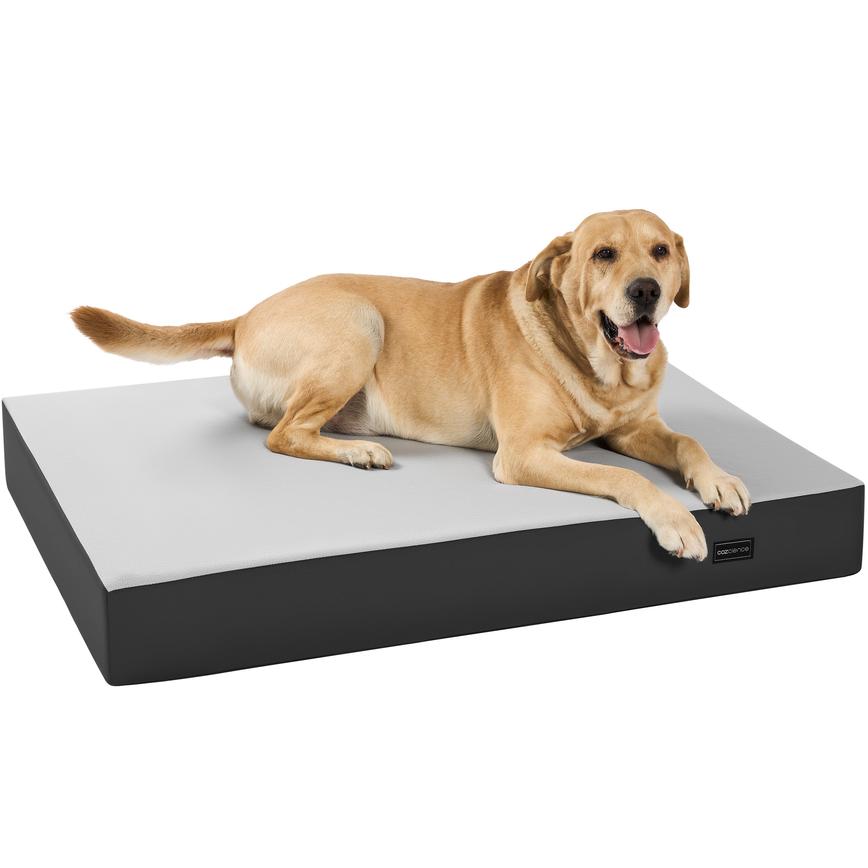 5 Inch Thick Orthopedic Dog Bed for Medium & Large Dogs, High Density Egg Crate Memory Foam with Support Foam, Waterproof Liner & TPU, Removable Washable Cover, Nonskid Bottom