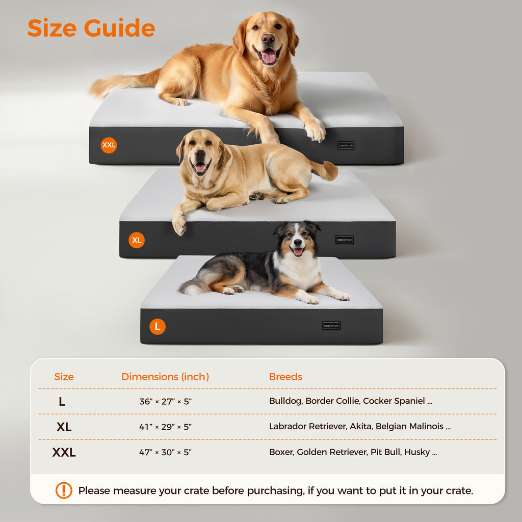 5 Inch Thick Orthopedic Dog Bed for Medium & Large Dogs, High Density Egg Crate Memory Foam with Support Foam, Waterproof Liner & TPU, Removable Washable Cover, Nonskid Bottom